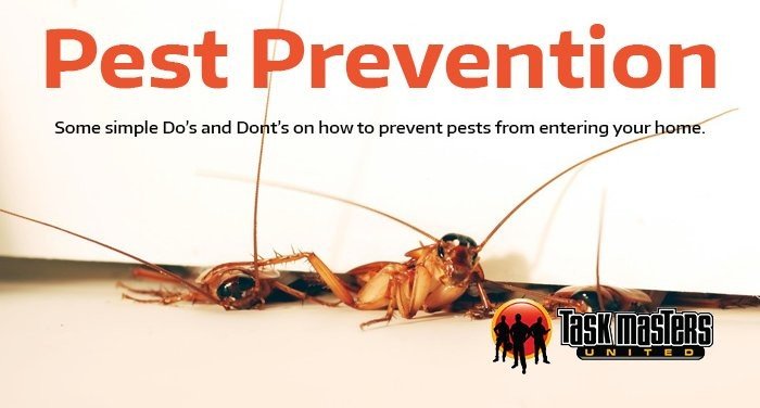 Explore 8 Exclusive Pest Prevention tips