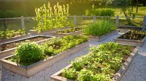 15 Sustainable Gardening Practices